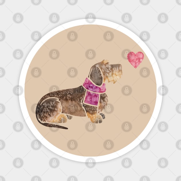 Wirehaired Dachshund watercolour Magnet by animalartbyjess